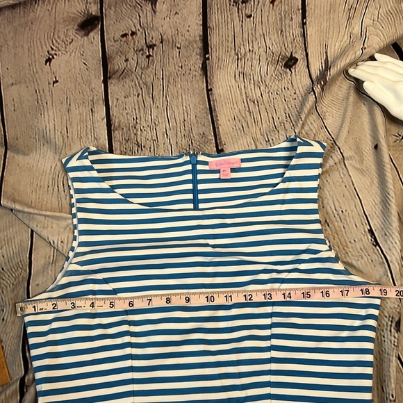 Lilly Pulitzer Juliana Lucky Charm Chin combo floral flutter blue striped Dress - Picture 10 of 10